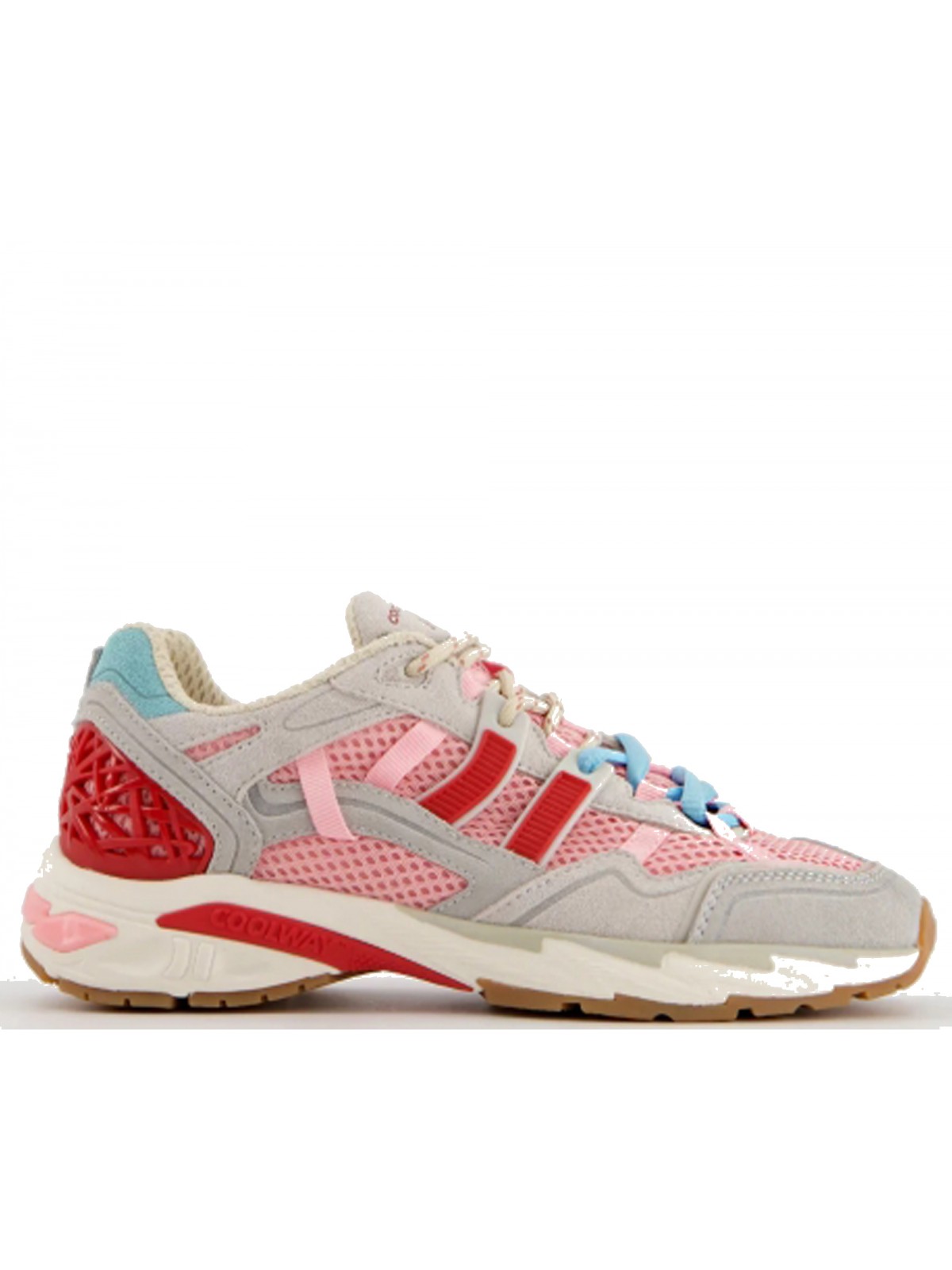 Coolway 2003 mesh rose