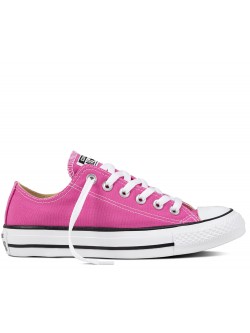 Converse Chuck Taylor all star toile basse magenta