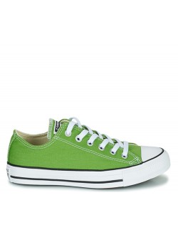 Converse Chuck Taylor all star toile basse iguana